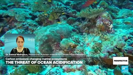 Climate change and the threat of ocean acidification