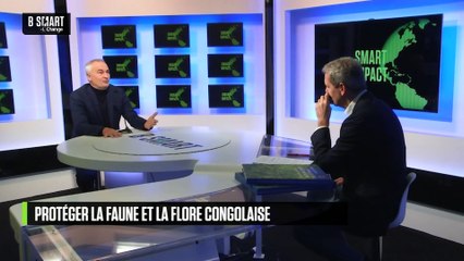 SMART IMPACT - La forêt du Congo, un espace naturel vital à protéger