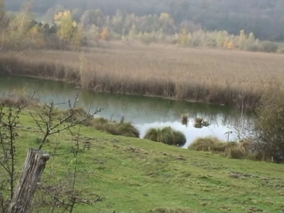 Etang du Petit Nan - Chabons 38690
