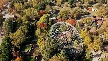 Bursa'da ayıları şaşkına çeviren olay