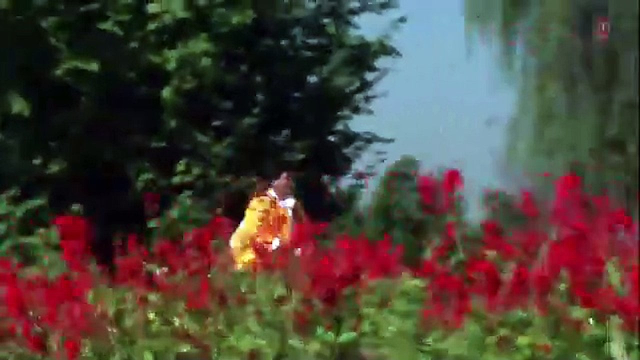 Din Patjhad Ke /1990  Bahaar Aane Tak  /Anuradha Paudwal, Manhar Udhas