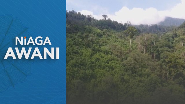 Sarawak tingkatkan perdagangan karbon, strategi perubahan iklim