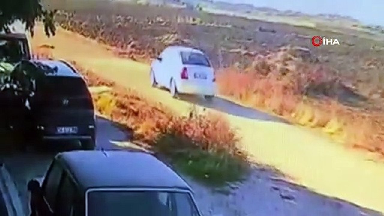 Otomobiliyle gözünün önündeki köpeğin üzerinden geçti