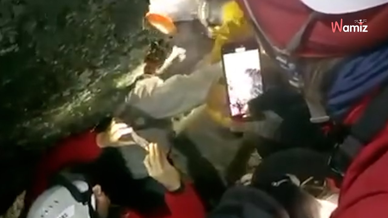 Pyrénées-Orientales : un chien coincé à 5 mètres de profondeur mobilise les sauveteurs pendant 72h