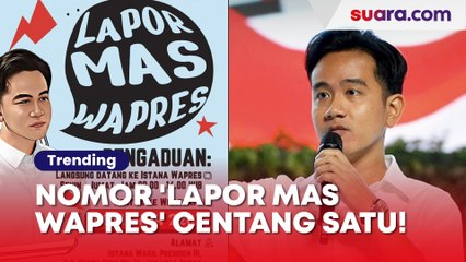 Nomor WhatsApp 'Lapor Mas Wapres' Selalu Centang Satu, Netizen Curiga Cuma Gimmick