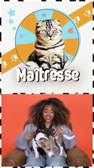 SIMONE - Maîtresse : mon chien, ma thérapie