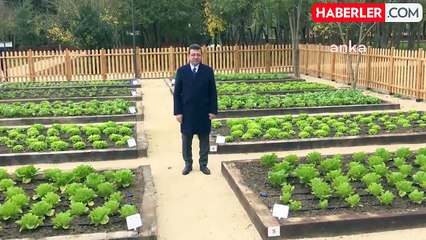 Büyükdere Atatürk Fidanlığı'nda Yerel Tohum Üretim Merkezi Açıldı