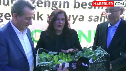 Aydın'da 40 Bin Ata Tohumu Fidesi Yarım Saate Tükendi