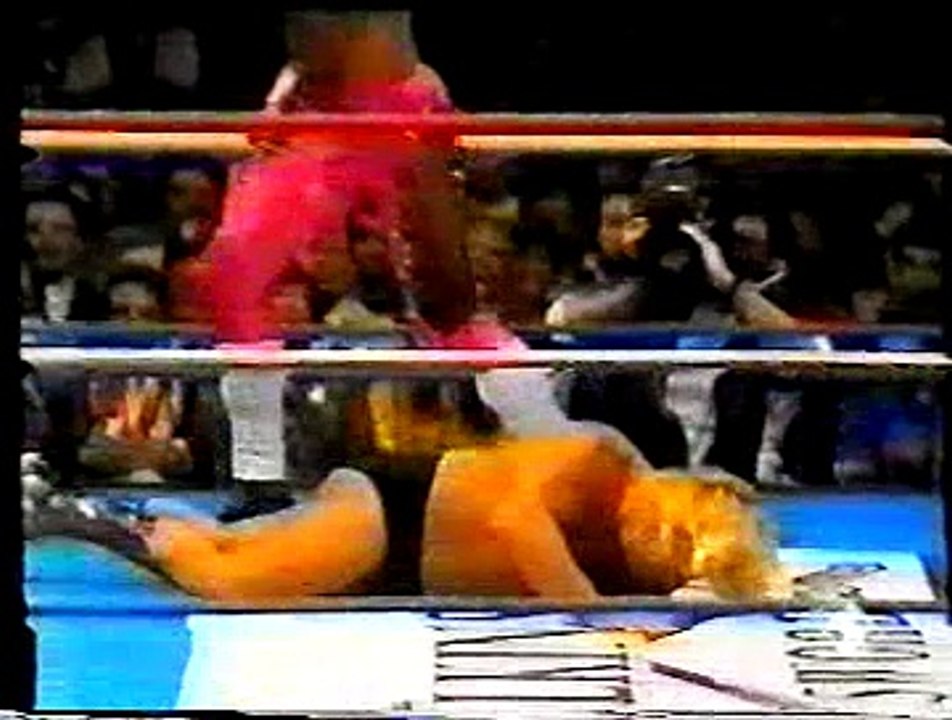 WWF European Tour 1988 Milano Italy (part2) (commento italiano DAN PETERSON)