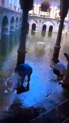 VID-20241112-WA0116[1]