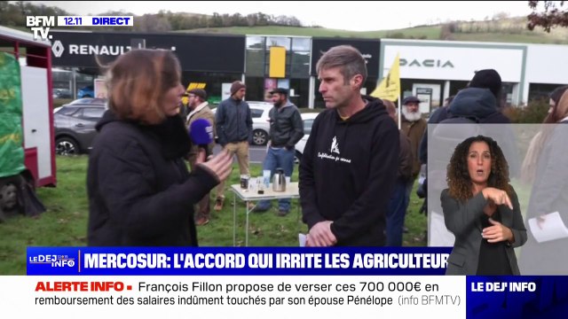 Ces accords sacrifient l'élevage pour vendre des voitures : l'accord UE-Mercosur irrite les agriculteurs
