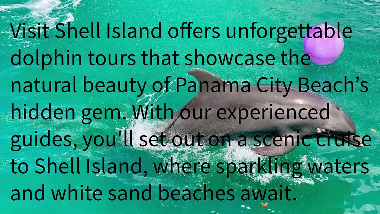 Visit Shell Island 2029 Twin Oaks Drive, Panama City Beach, FL 32408 (850) 756-7585