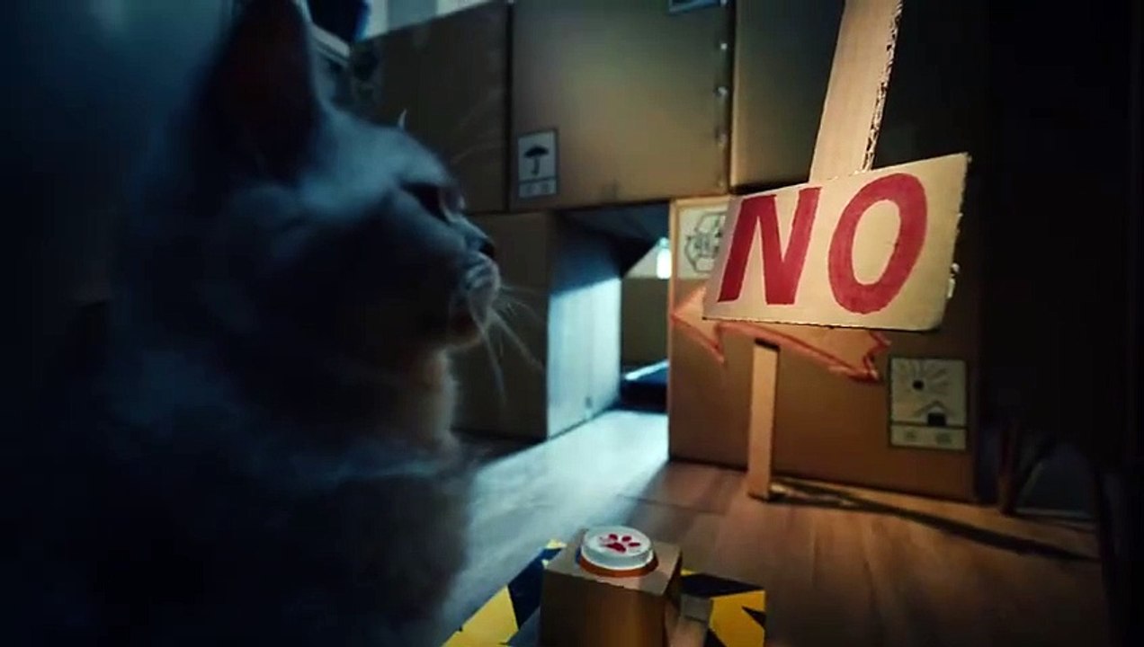 Blizzard kündigt die Rückkehr eines Mounts in WoW für China an, dreht einen Trailer mit Katzen