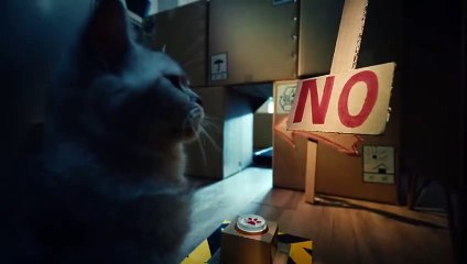 Blizzard kündigt die Rückkehr eines Mounts in WoW für China an, dreht einen Trailer mit Katzen