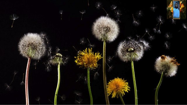 من أجمل تلاوات القرآن الكريم قناة علي الفرهود القران الكريم