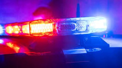 Busse Woods Death: Latest Updates