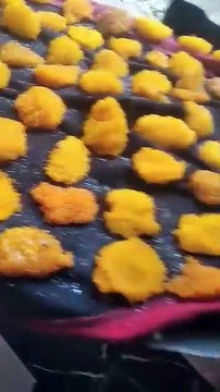 telur sapu sapu buat umpan lele