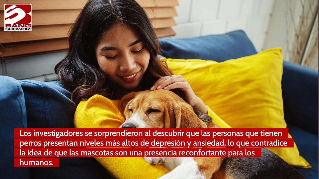 Tener perro no conduce a la felicidad
