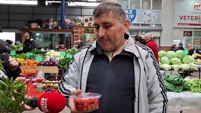 Ormanların gizli hazinesi