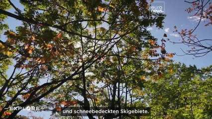 Die Ainu-Kultur in Hokkaido: Vom Upopoy-Museum und dem Marimo-Festival zu den Eingeborenenritualen