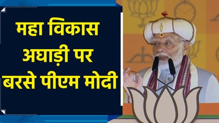 विकास का केवल एक ही विकल्प है, Mahayuti की सरकार : PM Modi