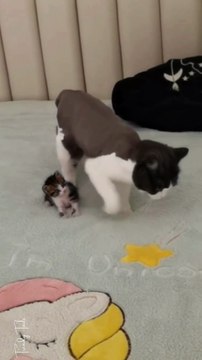 He Teaches His Child to Pee, and after he has done it, he says take it off