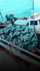 ما المتوقع من مؤتمر الأمم المتحدة للمناخ COP 29؟ وإلى ماذا يهدف؟🌍🔭