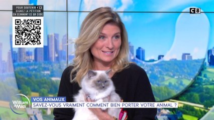 Vos animaux : Savez-vous vraiment comment bien porter votre animal ?