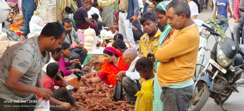धूमधाम से मनाई गई देव उठनी एकादशी, गन्ना व शकरकंद से पटा रहा बाजार, जमकर हुई खरीददारी