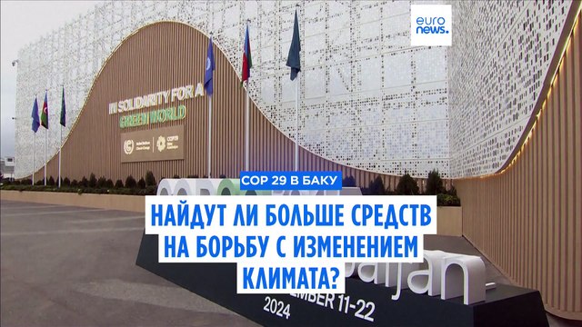 COP 29 - финансовый саммит , - эксперт