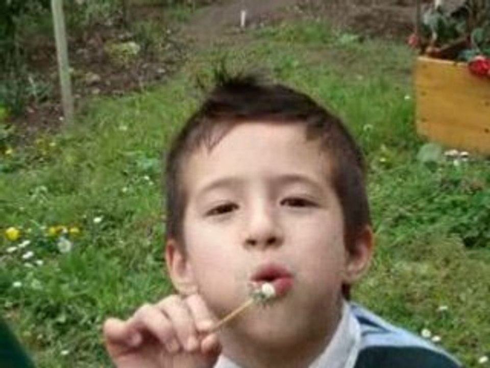 Adam Blowing Flower