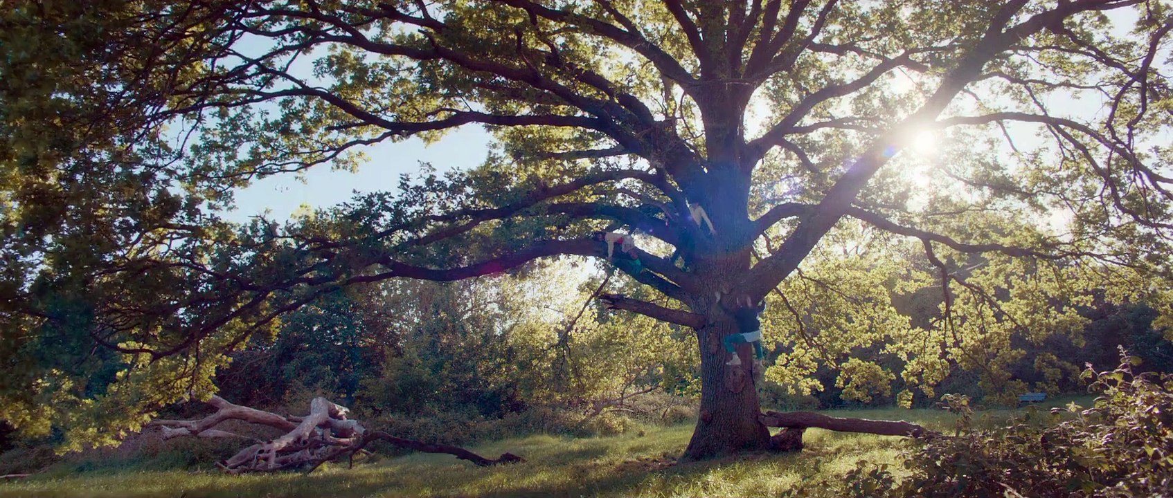 Bridget Jones 4 - Verrückt nach ihm Trailer DF