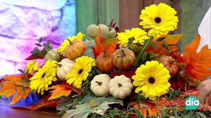 Tv4-CadaDía | ¿Cómo prepararse para el Buen Fin 2024? | #LoViEnTv4 | 12/11/24 (3)