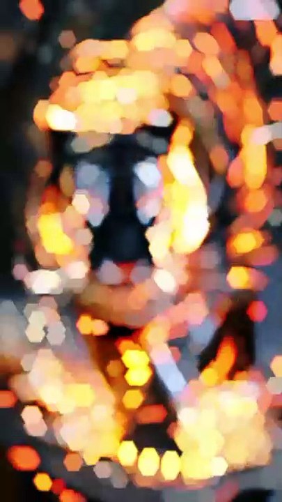 1000087724