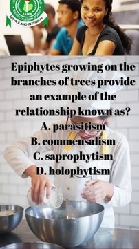 Commensalism: More details on epiphytes growing on branches of trees