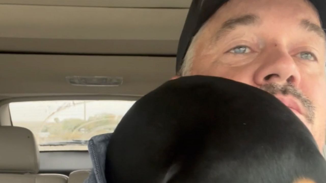 The playful dachshund snuggles up in his owner's hoodie, eliminating any sense of personal space.