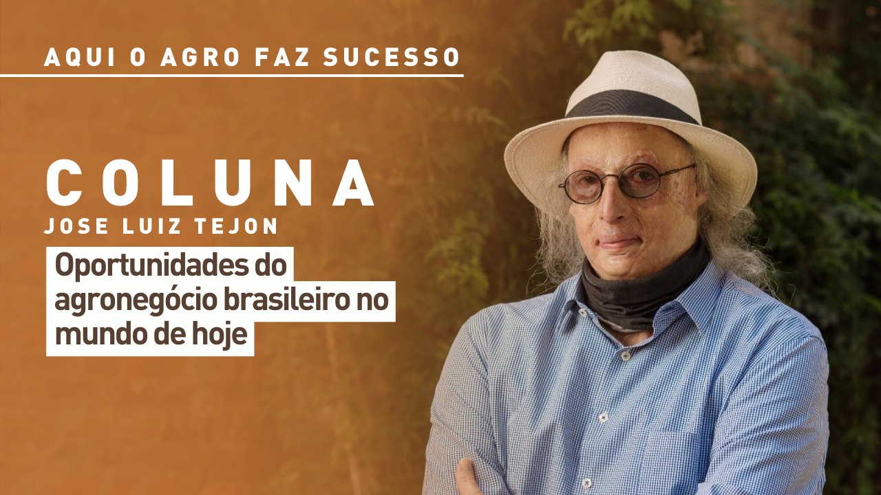 Aqui o agro faz sucesso: oportunidades do agronegócio brasileiro no mundo de hoje