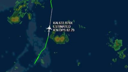 발리행 대한항공 여객기 2대 회항..."화산재 때문" / YTN