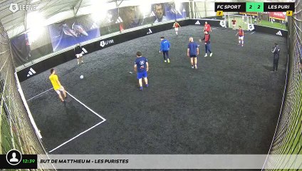 But de Matthieu M - Les Puristes