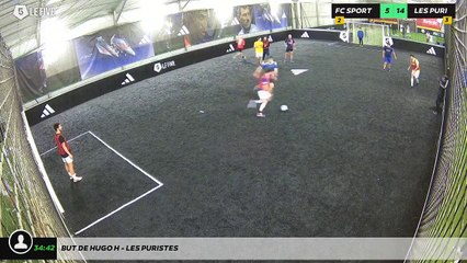 But de Hugo H - Les Puristes