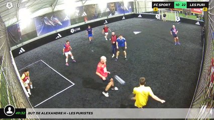 But de Alexandre H - Les Puristes