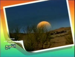 ذكرى محمد_الخصلة_لاوجعتني ديار رفاقة عمر