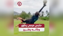 حارس مرمى يظهر وكأنه يطير