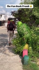 The Funniest Bush Prank Ever! 😂 Watch Their Reactions! #funnyvideo #funnyprank #funny