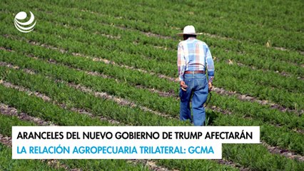 Aranceles del nuevo gobierno de Trump afectarán la relación agropecuaria trilateral: GCMA