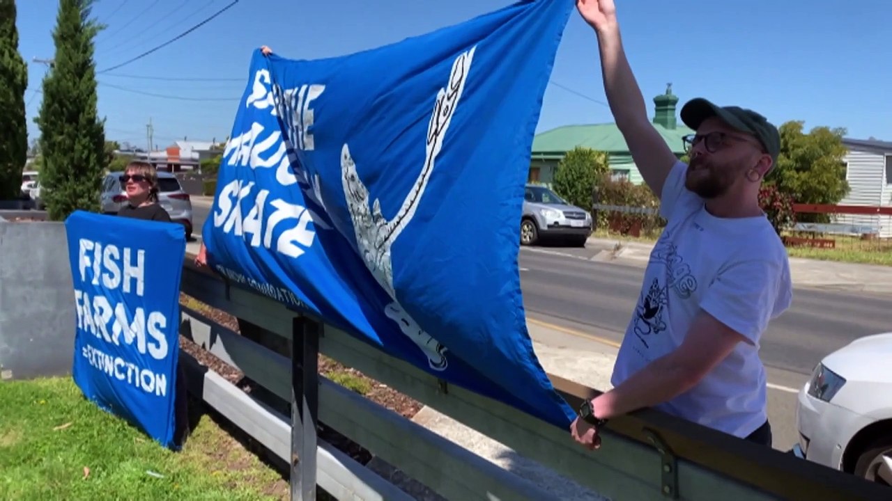 PM Albanese looks to White, Urguhart for Labor victory in crucial Tasmanian seats of Lyons and Braddon
