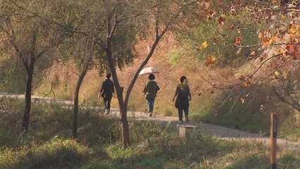 [날씨] 수능 날에도 '따뜻', 큰 일교차 유의...오후에는 비 / YTN