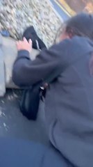 Woman Bumps Her Head on Ground While Trying to Lift Rock