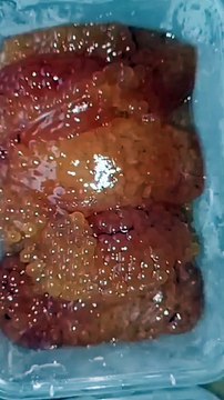 umpan galatama lele media telur sembilang