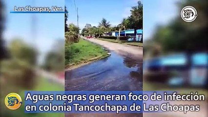 Aguas negras generan foco de infección en colonia Tancochapa de Las Choapas